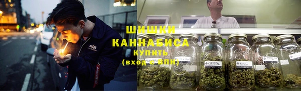 ПСИЛОЦИБИНОВЫЕ ГРИБЫ Гусь-Хрустальный