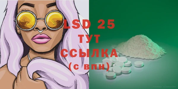 ПСИЛОЦИБИНОВЫЕ ГРИБЫ Гусь-Хрустальный