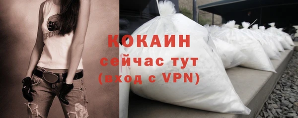 ПСИЛОЦИБИНОВЫЕ ГРИБЫ Гусь-Хрустальный