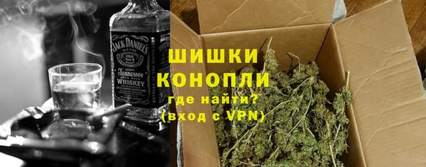 ПСИЛОЦИБИНОВЫЕ ГРИБЫ Гусь-Хрустальный