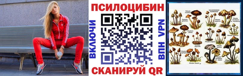 Купить где  Лесосибирск  Галлюциногенные грибы Cubensis 